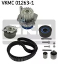 SET VALVE CONTROL SYSTEM Z PUMP WATER SKF VKMC01263-1 