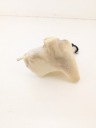 HONDA CBF 1000 SC58 06-09 CISTERN EXPANDING  photo 4