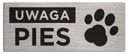 Табличка «ВНИМАНИЕ СОБАКА» 20х8 см.