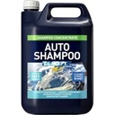 CONCEPT Auto Shampoo 5л автошампунь