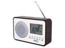 Портативная цифровая FM-радиостанция CAMRY CR1153