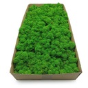 Финский ОЧИЩЕННЫЙ МОХ, 2кг, НЕТОТНЫЙ, ЛЕТНИЙ