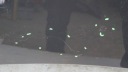 PEUGEOT 307 LIFT EXLD CAPOT COUVERCLE MOTEUR (M635)photo 7