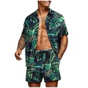 Мужская футболка Гавайи с короткими рукавами и пляжные шорты