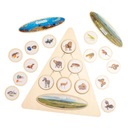 Лоток с жизненным циклом игрушек Монтессори, флеш-карты, стадия роста, треугольник