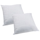 2 x ANTYALERGICZNA PODUSZKA JASIEK 40x40 cm BIAŁA