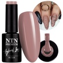 Ntn Premium Lakier hybrydowy do paznokci 119 Splash Collection