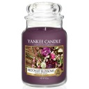 Moonlit Blossoms Yankee Candle - большая свеча
