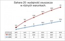 Осушитель воздуха Sahara 20 (20 л/24/ч)