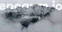 Копирайтинг копирование контента SEO статьи мин.8к zzs
