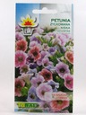 Semená Petúnie Hviezdnej Mix Oživte svoju záhradu farebnou kaskádou Odroda Petunia