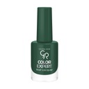 Перманентный лак для ногтей Golden Rose COLOR EXPERT NAIL 133