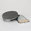 PLATINET SPEAKER GŁOŚNIK BLUETOOTH V5.0 FM MICRO SD 5W STEEL GREY [44610] T Marka Platinet