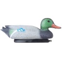 Кряква, МУЖСКОЕ УКРАШЕНИЕ ПРУДА