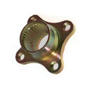 СТУПИЦА, КРЕПЛЕНИЕ ЗВЕЗДОЧКИ ЗАДНЕЙ ОСИ, ATV150 GY DIABLO