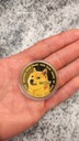 Złoty Medal Moneta Dogecoin Doge Coin + Pudełko Rodzaj inny