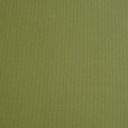 Płótno introligatorskie Canvas Extra R GREENTESSE 2138 szer.1000mm. FSC Mix