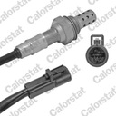 CALORSTAT BY VERNET LS140028 PROBE LAMBDA 