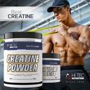 HI TEC Creatine Powder- 500g MONOHYDRÁT SILA Značka HiTec Nutrition