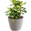 КРУГЛЫЙ ЦВЕТОЧНЫЙ ГАЗОН КРЫШКА С ПОДСТАВКОЙ 16,8 СМ MOCCA