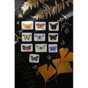 МАМА КРАСИТ МАГНИТЫ-БАБОЧКИ 762546