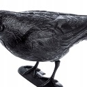 LARGE CROWN PEN DISTRUSTER Pigeons + DENSIBLE CIRCUMSTANCES 52 см 6 шт.