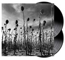 DEAD CAN DANCE Anastasis 2LP ВИНИЛ