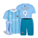 Комплект костюма HAALAND + леггинсы, размер 122