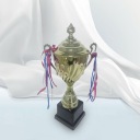 Трофеї 45Cm
