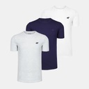 4F ФУТБОЛКА МУЖСКАЯ НАБОР ФУТБОЛОК ИЗ 3 ПРЕДМЕТОВ