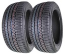 2x 245/40/20 Вт TOYO SNOWPROX S954