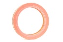 RIDEX 8A0440 FILTRE AIR VERS RENAULT CLIO I (B/C57, 5/357) 19 I (B/C53)photo 11