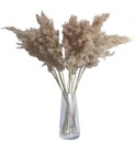 СУШЕННАЯ ТРАВА БОХО SU2 x5 ваза из сушеной натуральной травы в стиле бохо, пампас, свадебный букет