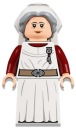 LEGO Figurka Madam Poppy Pomfrey 76398 hp325