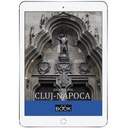 Клуж-Напока
