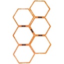 Тренировочная лестница MASTER Hexa