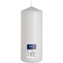 СВЕЧА-ЦИЛИНДР BISPOL 20см, БЕЛАЯ /смесь цветов 80/200