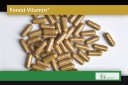 Пам'ять, Нервова Система Forest Vitamin 500Mg 60Kap