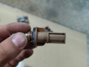 LIGHT BULB AUTOMOTIVE VALEO H21W  photo 5