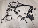 BMW 1000 RR WIRING ELECTRICAL WIRE SET FORMULA ENGINE K46  photo 9