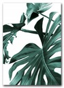 LIŚCIE MONSTERA plakat 21x30 cm wydruk obraz #138