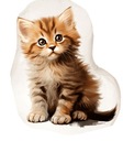 ПОДУШКА В ФОРМЕ КОТЕНКА