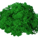 Натуральный мох, украшение для украшения из темно-зеленого мха
