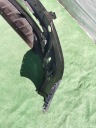 PARE-CHOCS AVANT AVANT SKODA FABIA II RS 10-14 5J0807221Hphoto 12