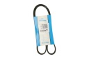 DAYCO COURROIE MULTICANAL 6PK1090ELAST 6PK1090EEphoto 10