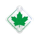GREEN LEAF REFLECTION для юного водителя MINI, 7 см