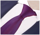 Мужской жаккардовый галстук, темно-синий, бордовый, RC35