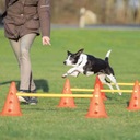 TRIXIE Activity Prekážková dráha pazúriky slalom výcvik hračka psa agility Účel univerzálny výcvik