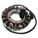 Electrosport Stator Yamaha Fjr1300 13-16