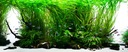YOKUCHI Jiban Soil 10l Kompletne podłoże do akwarium, wytrzymałe, bez pyłu Frakcja 2-5 mm